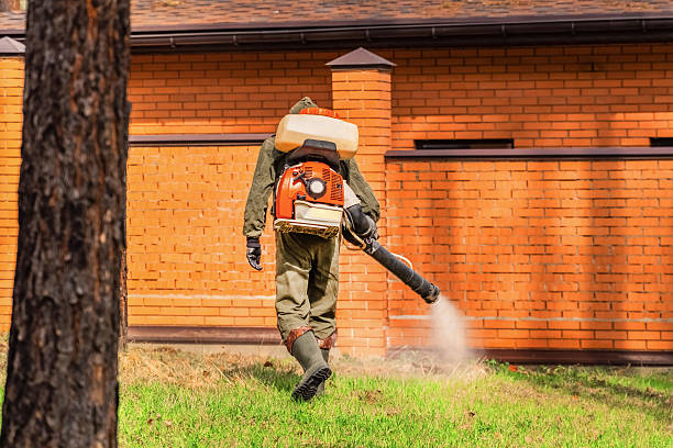 Top rated local Wasp Removal specialists in Highland Park, NJ